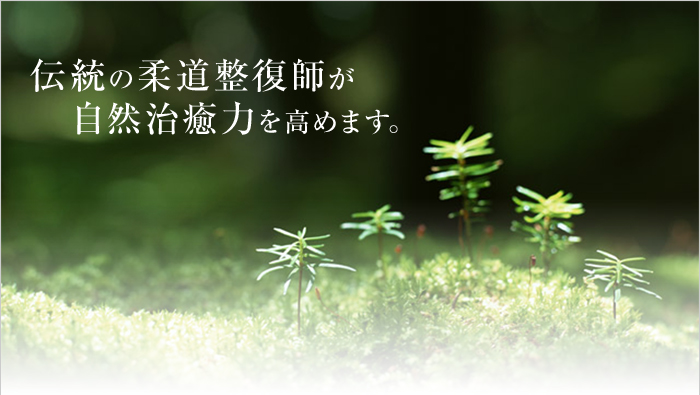伝統の柔道整復師が自然治癒力を高めます。